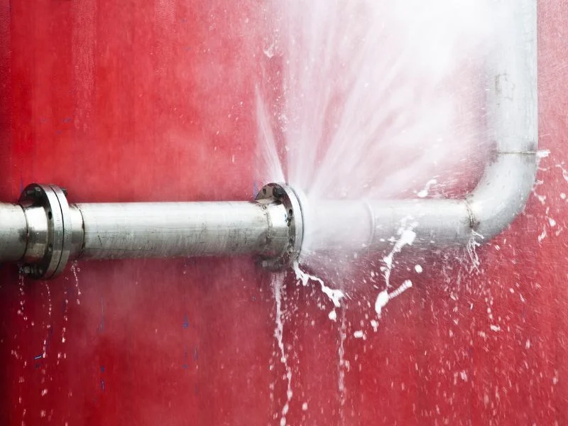 Don’t Delay Water Leakage Repair